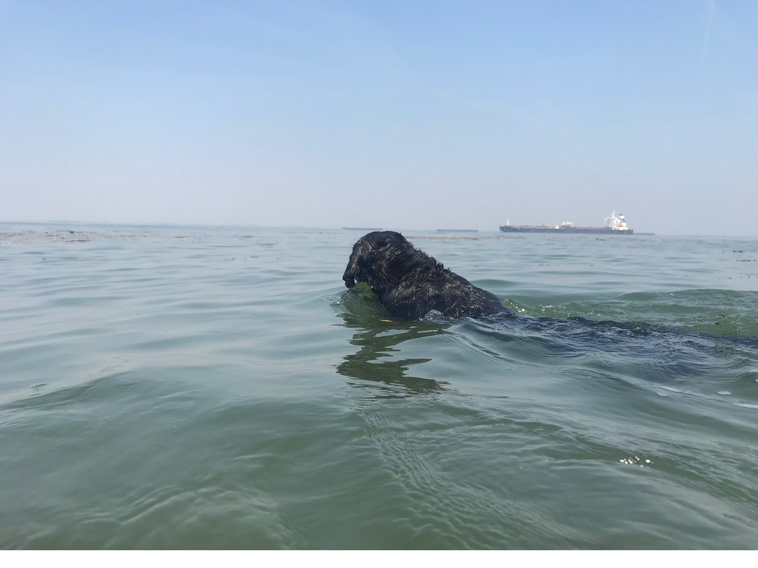 C9825F84-5F88-43C7-8031-F758DCA8F87A