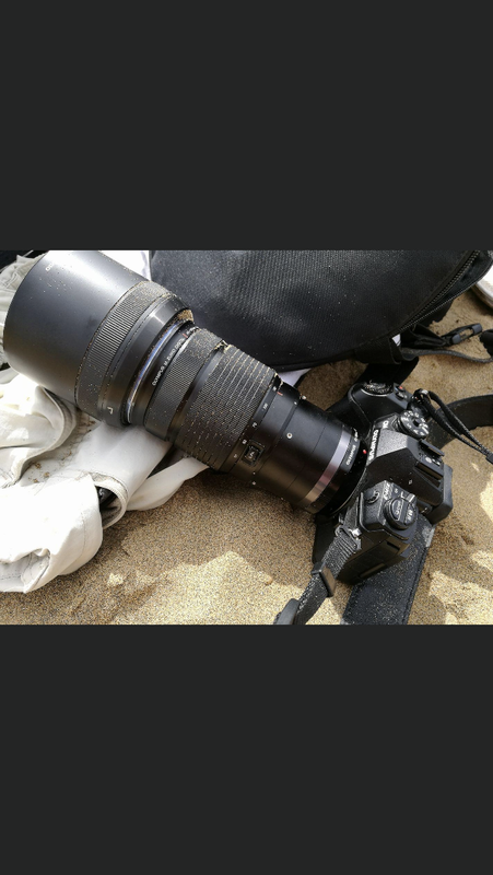 B3DFDA8B-D896-4B27-A7F6-DBEA48277AC1