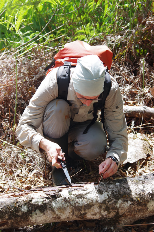 Fieldwork photo 3