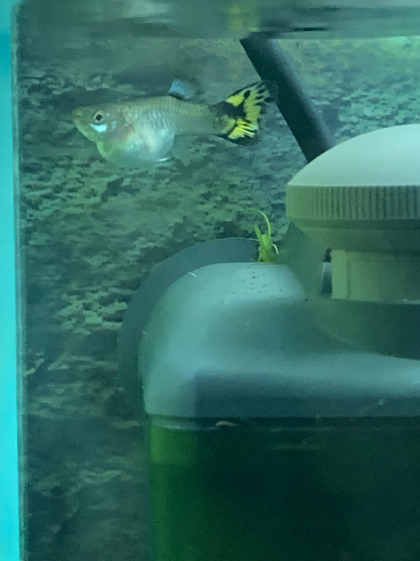 CC127417-1CD3-4AD6-AC94-6F0B095AA463