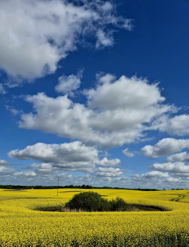 7684a1d3-876d-4c63-8bf9-f403fd127ec5.jpg