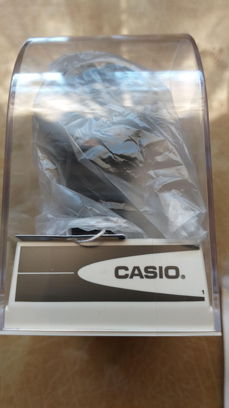 casio 3 (2)