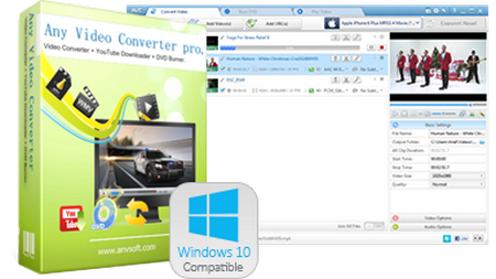 Any Video Converter Professional 7.1.5 Multilingual + Portable