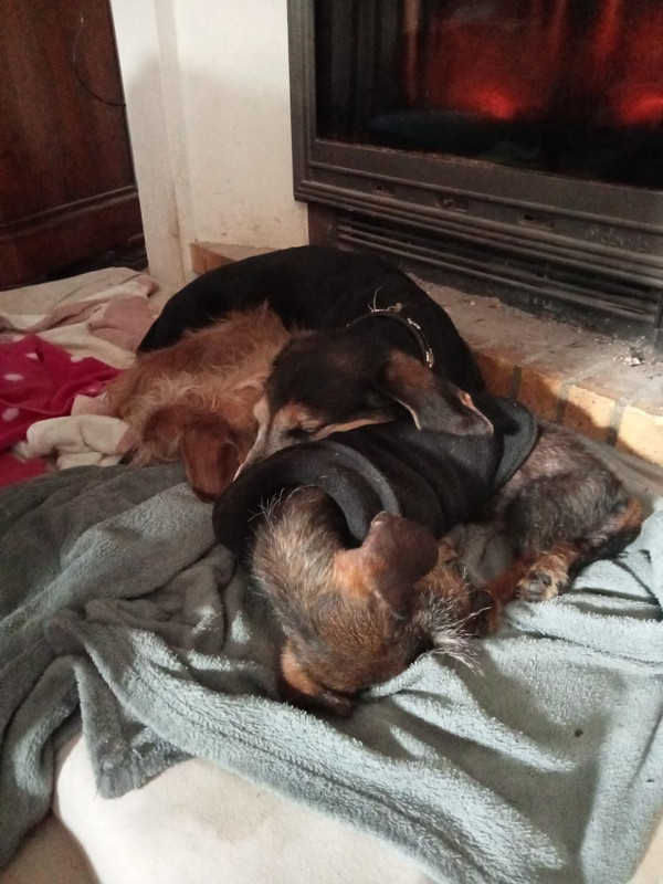 [Image: image000000-145.jpg]