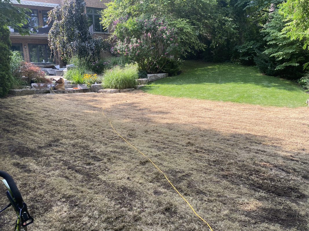 1A0B1B09-DED6-40F3-B837-BA899770C1FA