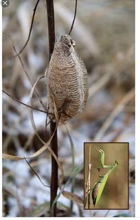 71027374-8EFB-4C7C-976D-5EBF00140DC8