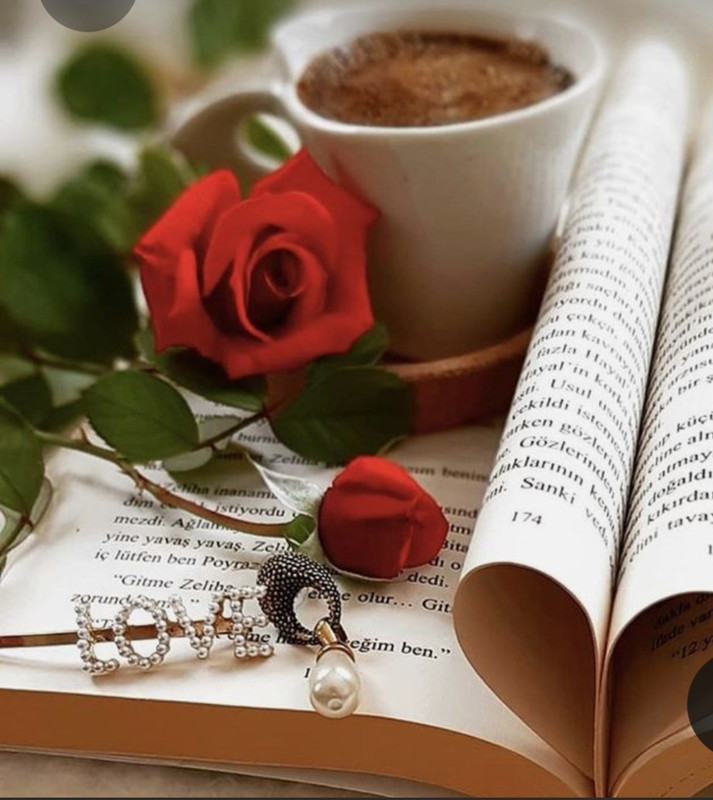 Screenshot_20230322_002312_Pinterest