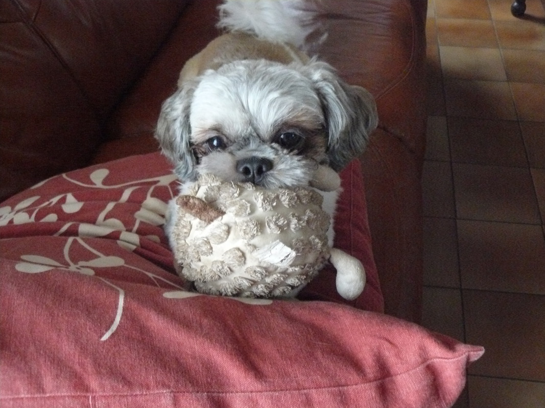 [Image: P1190103.jpg]