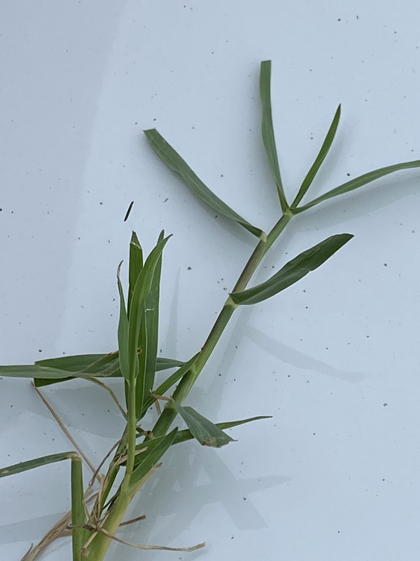 F4905FD3-529F-4108-80AB-3F2A99050AC5