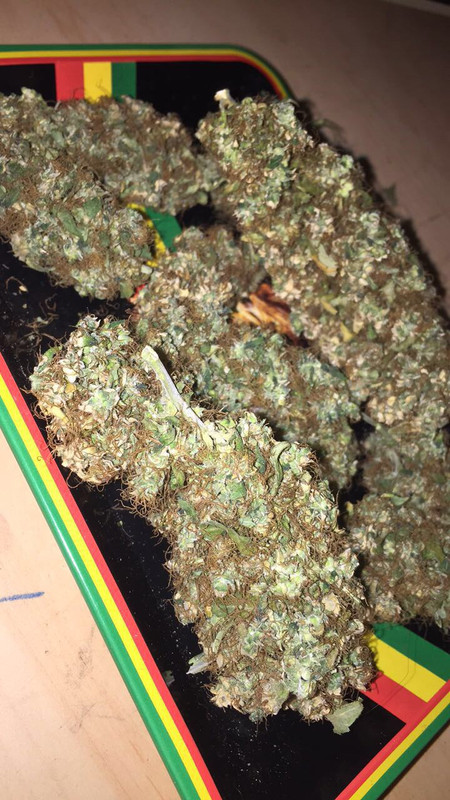 740C2C20-AD60-41A1-AD5B-2451A33D0BD5