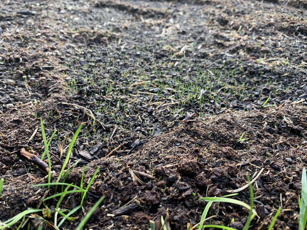 6C75BC11-7D35-44C0-BE65-1D25CB1E725B