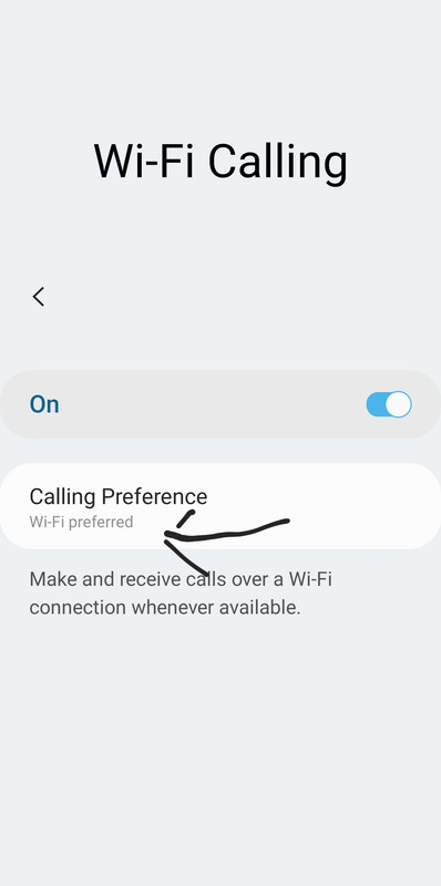 Screenshot_20220908-100717_Wi-Fi Calling