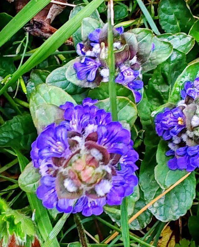 IMG 20260413 190119BB