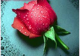 [Image: images-17.jpg]