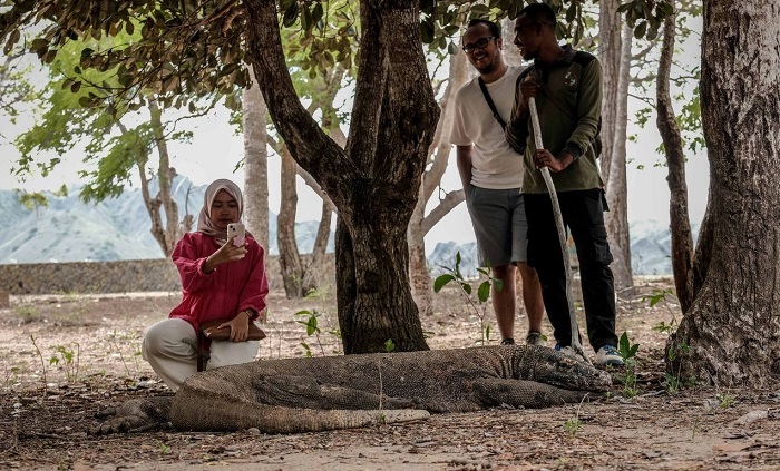 Pemerintah telah membatalkan kenaikan tiket masuk ke Taman Nasional (TN) Komodo. Kendati demikian, upaya konservasi kawasan tersebut tetap menjadi fokus utama kementerian/lembaga terkait.