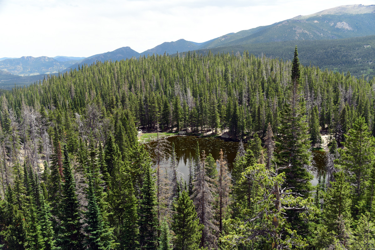 En ruta por Colorado (2022) - Blogs de USA - Parque Nacional de las Rockies (19)