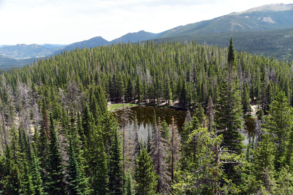 Parque Nacional de las Rockies - En ruta por Colorado (2022) (19)