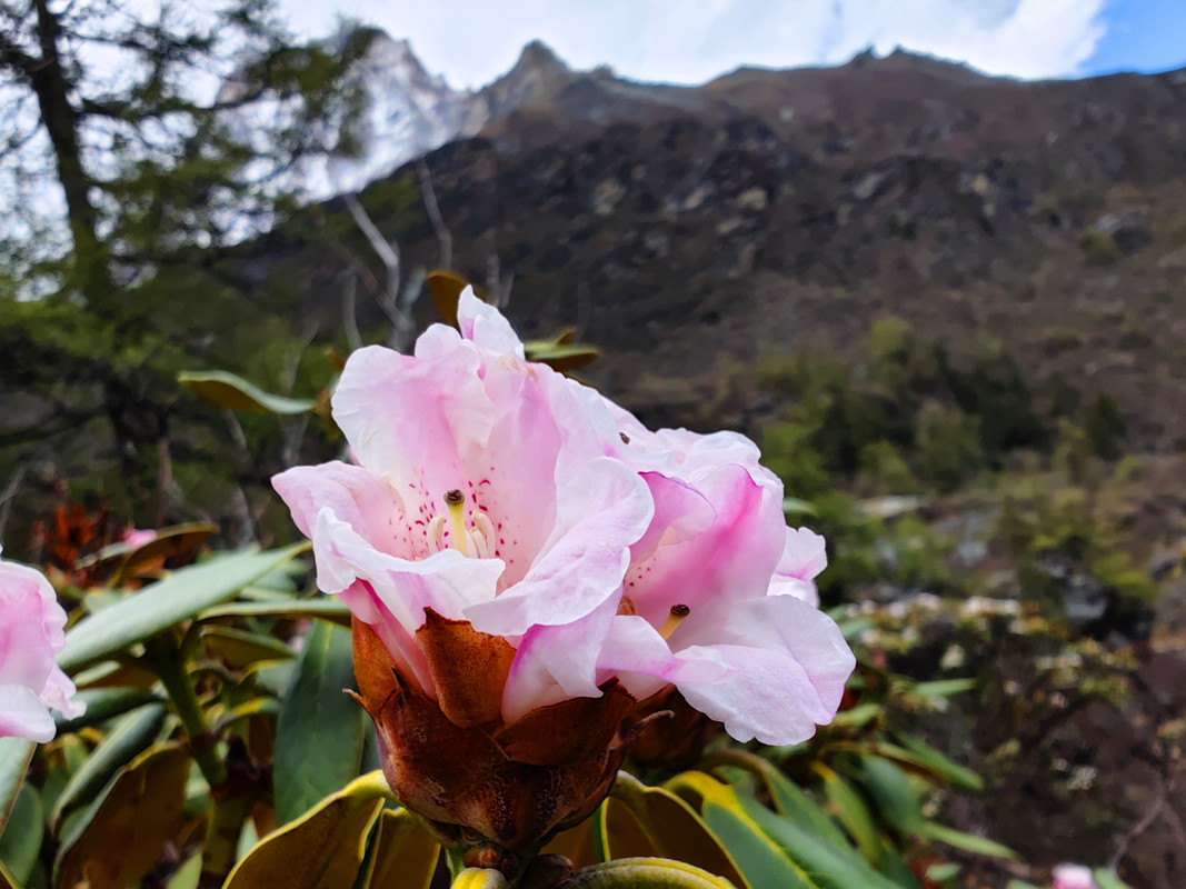 IMG_20230520_161021_副本