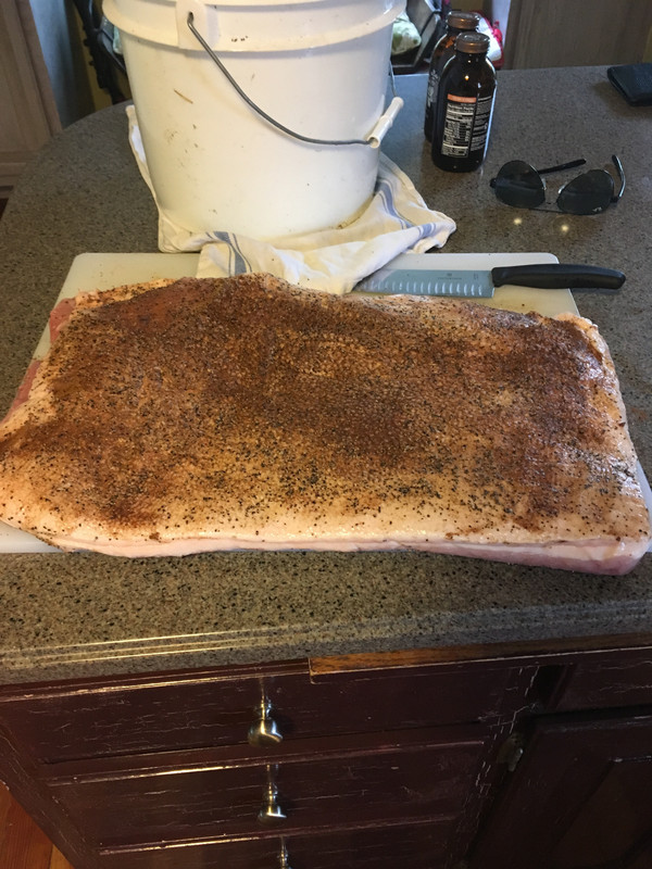 B2446EED-21B6-492B-A9AD-14D7F5AB4E1E