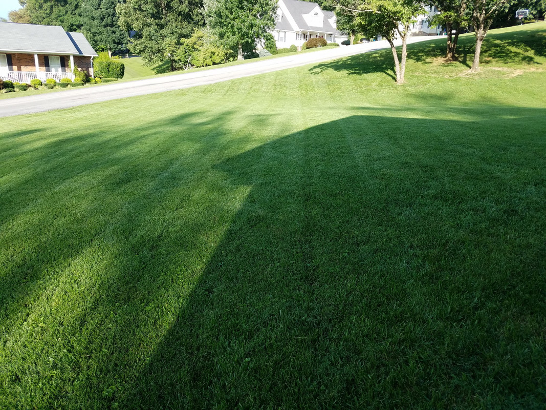 7EB4FBD8-3E9B-4A8B-9C02-85BDB98DF78B