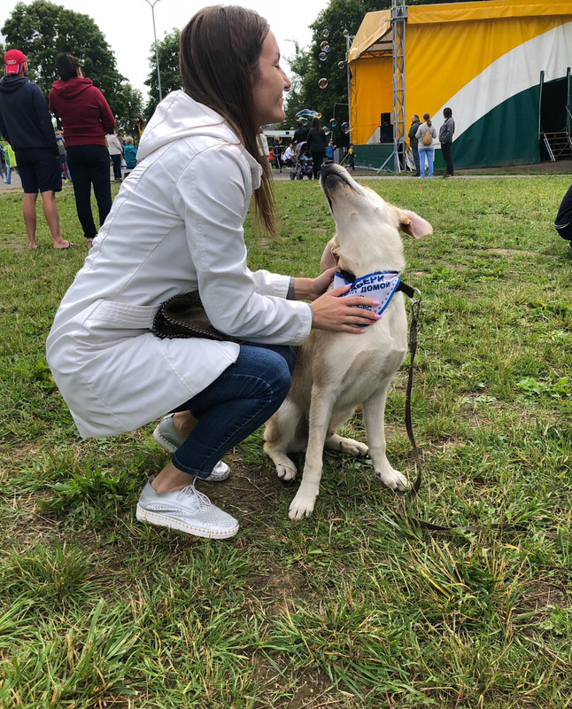 DACD0C88-04F6-4BCD-BC01-B26845F64F63