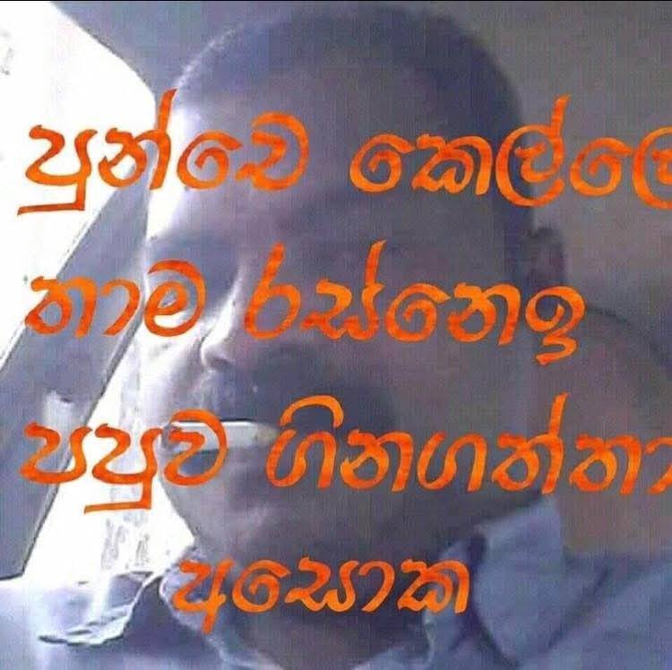 5656.jpg
