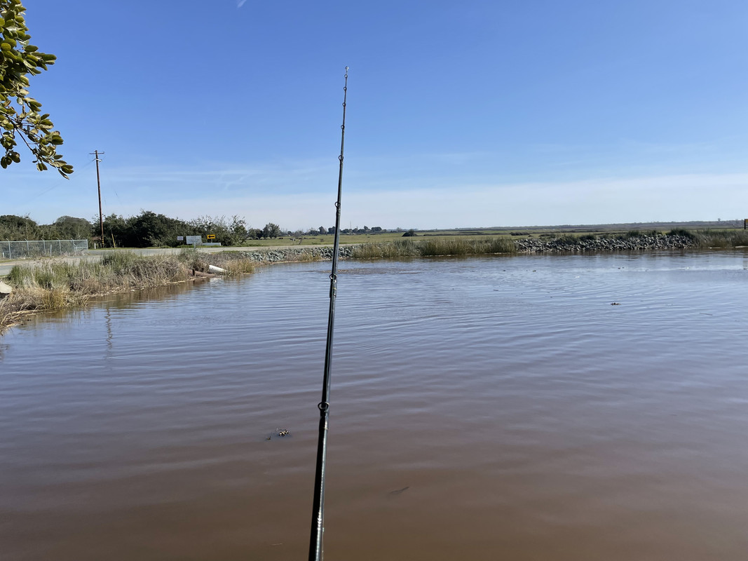 A6F50BFC-036E-4645-899D-1FFDED09D080