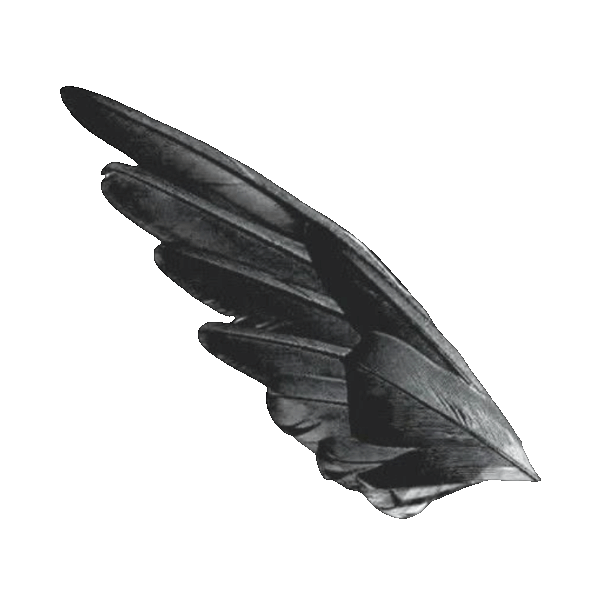 wing by puppizai on tumblr