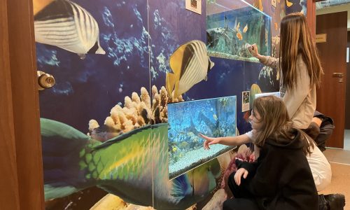 Вивчення риб