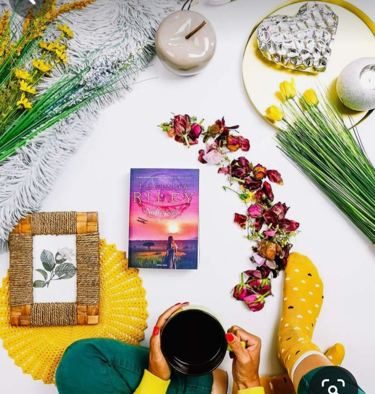 Screenshot_20230913_175727_Pinterest