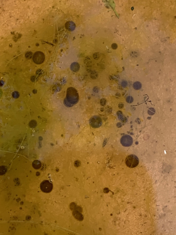 DB931989-83AA-4A87-908B-519E31CDA24F