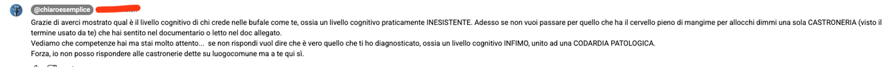 File allegato: