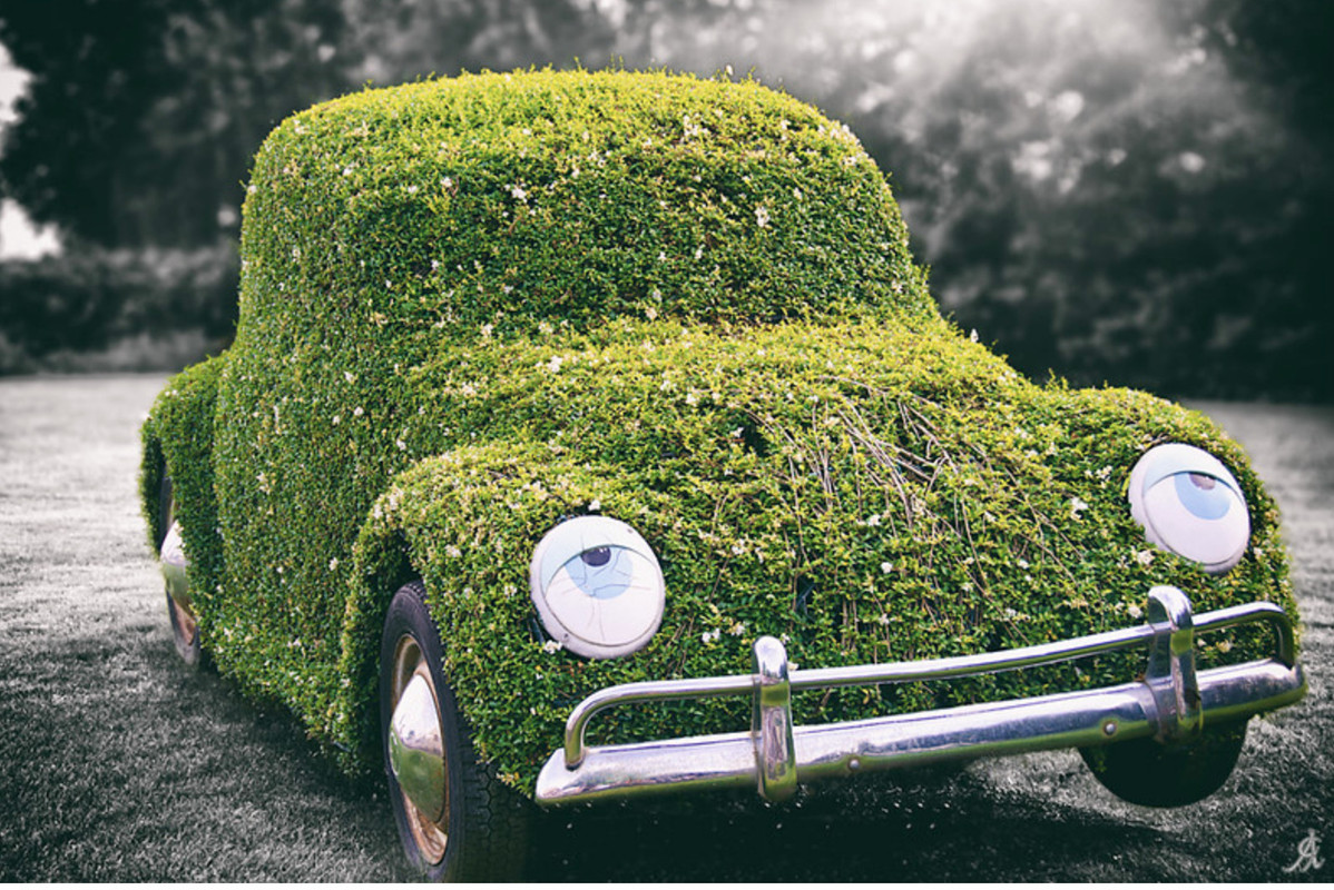 green-car-ivy.jpg