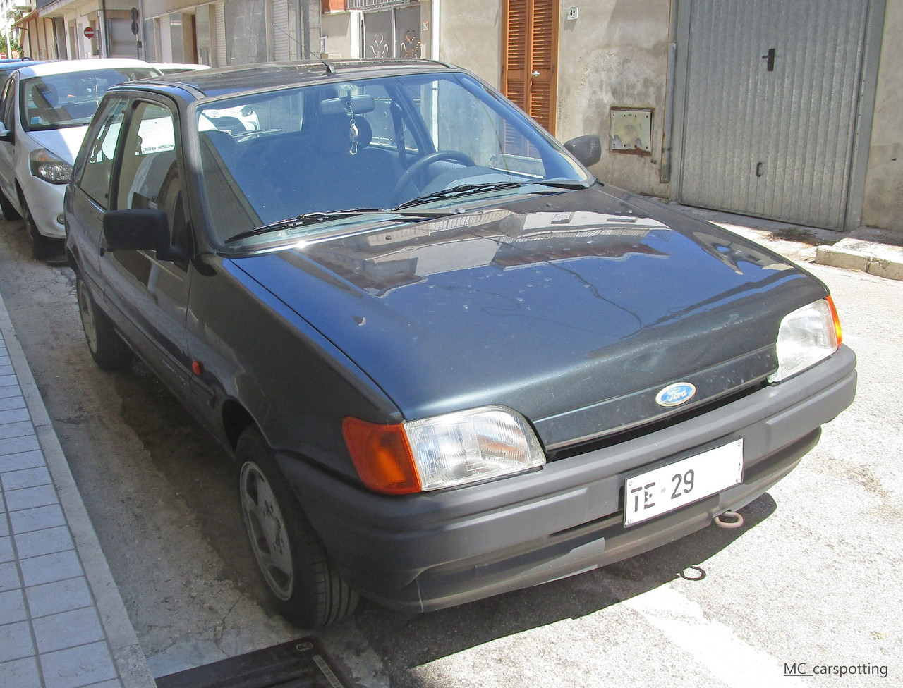 IMG-8895.jpg