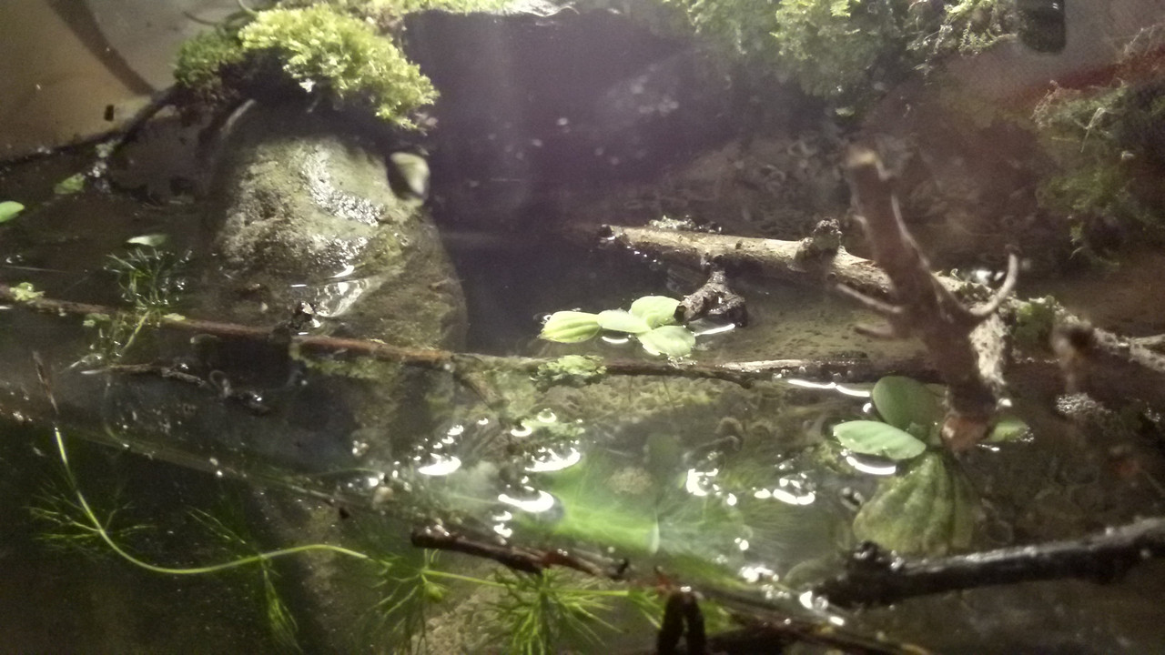 20141028_171110_Richtone(HDR)