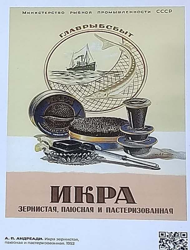 https://i.postimg.cc/CK9mPJV4/096-IMG-20231120-161301.jpg