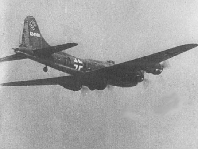 Les B-17 captures par l enemi Wulfe-hund2-1-w800-w800