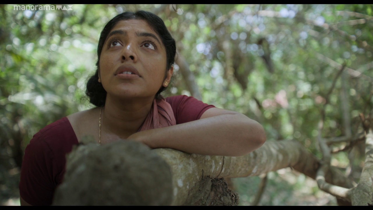 vlcsnap 2026 02 25 12h50m48s752