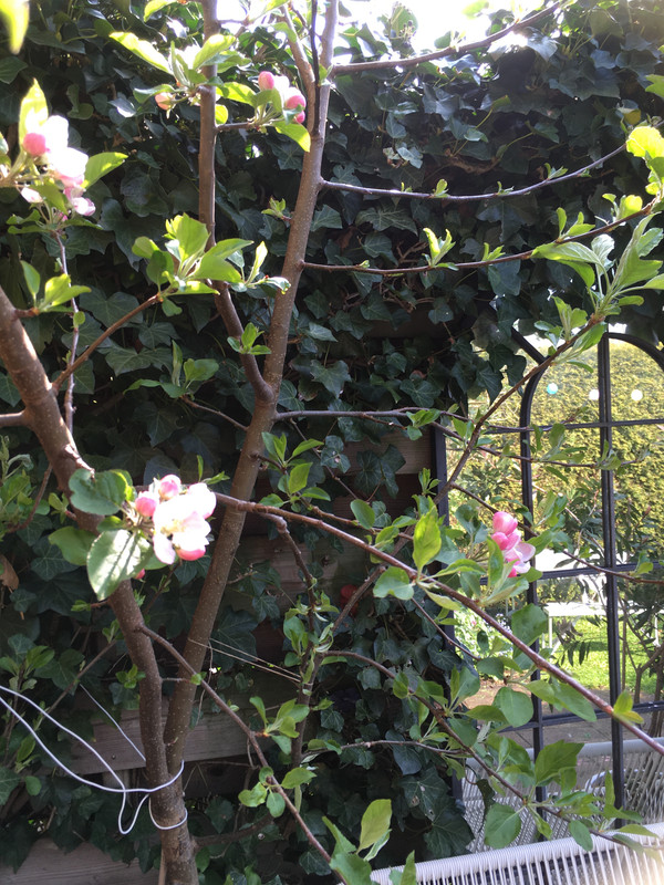 4BA80C7C-AAFF-4B19-B54E-C9BBF065D207