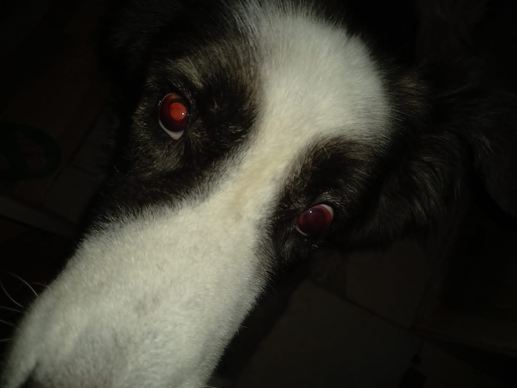 642FD896-ACC4-44F4-8E44-67DA19BAEA8E