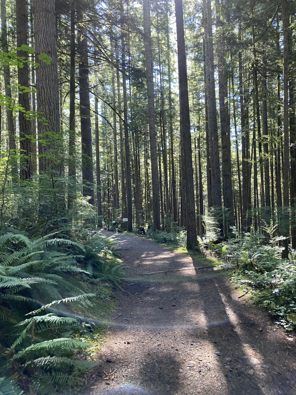 .Đi hiking Wallace water fall 6-B573-D88-7898-4230-8068-330-F88-D2-E41-D