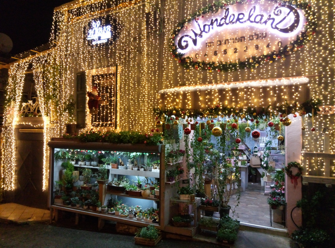 Магазин цветов Wonderland в Хайфе, декабрь 2018