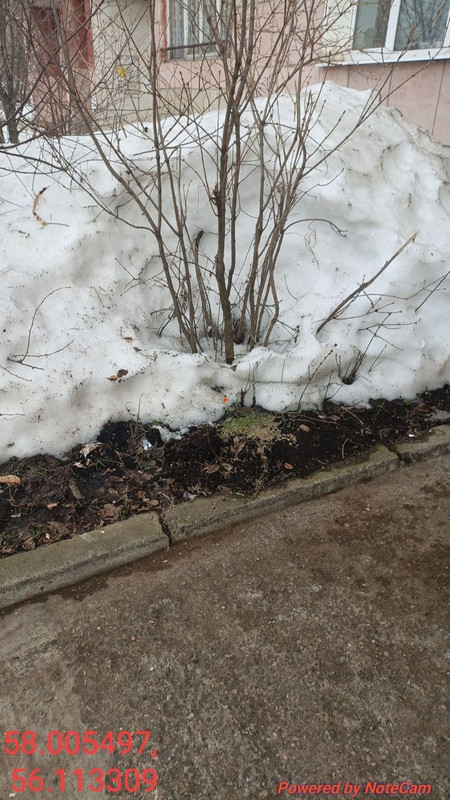 photo 1774734631 151