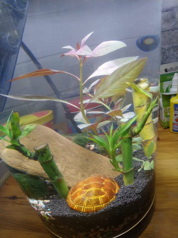 WhatsApp Image 2024-09-13 at 15.29.42 (2)