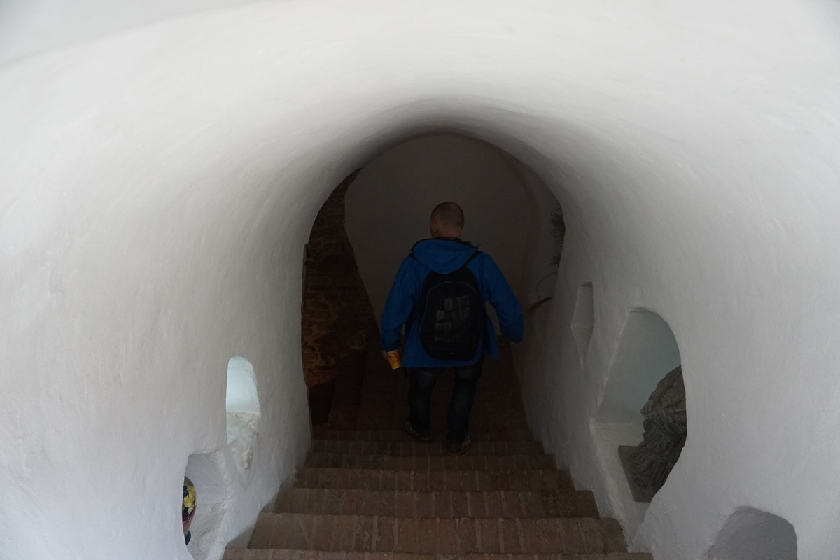 20.21 - DSC08082 (zbychowiec)