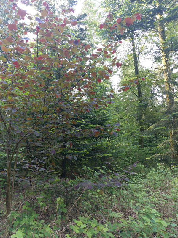 4F0F83F3-3403-4273-A2B0-FD6FBC9451F9