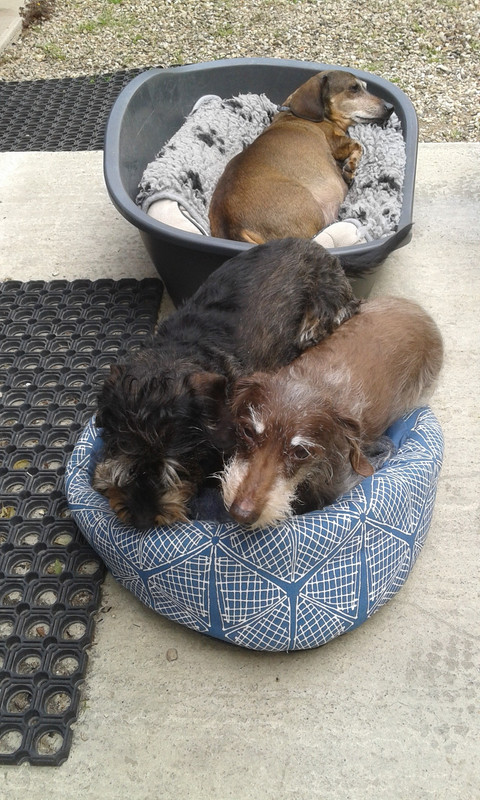 [Image: 1564031416.jpg]