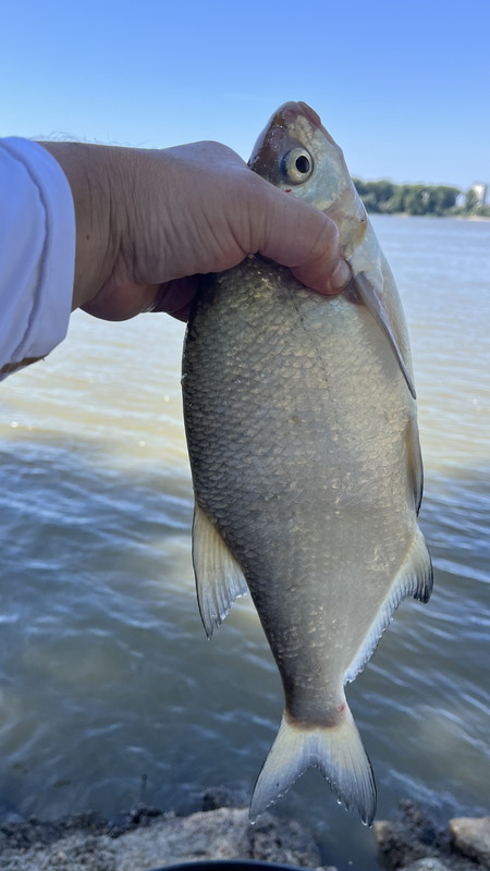 1E9E8A55-3477-4FEC-A595-1FABA4F5BA67