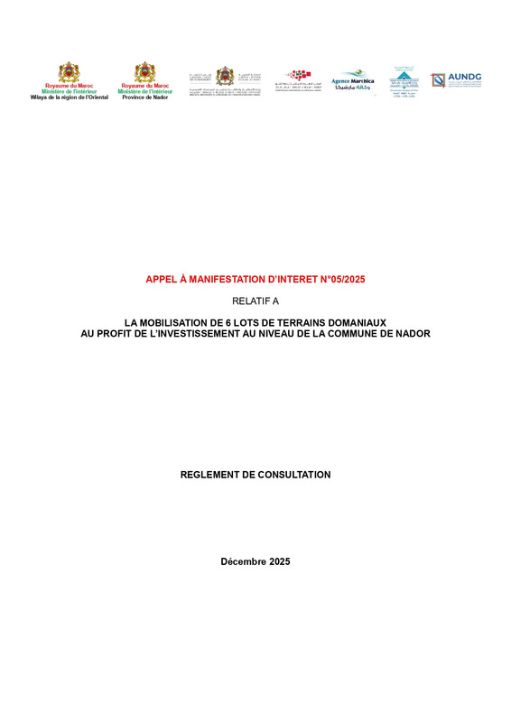 Details-appel-d-offre-CRI-Nador-page-0001