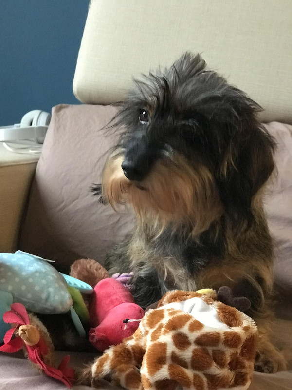 [Image: unnamed2.jpg]